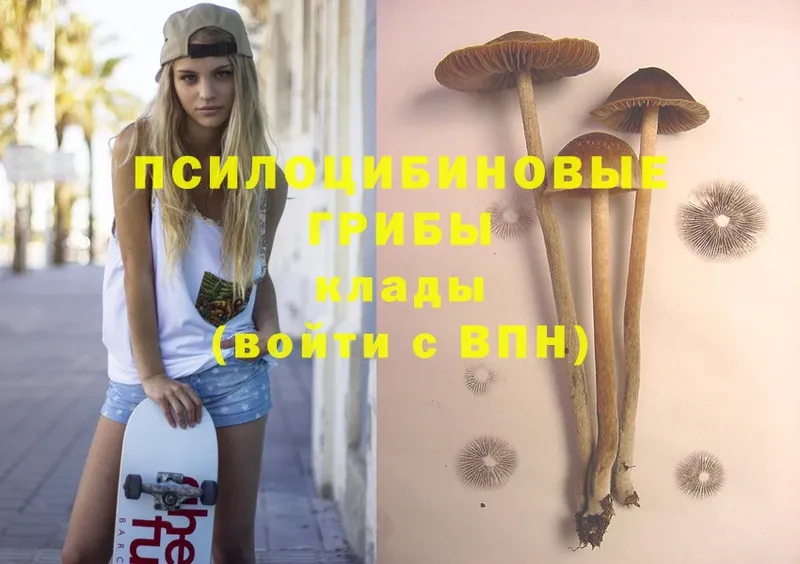 Галлюциногенные грибы Magic Shrooms  Камышлов 